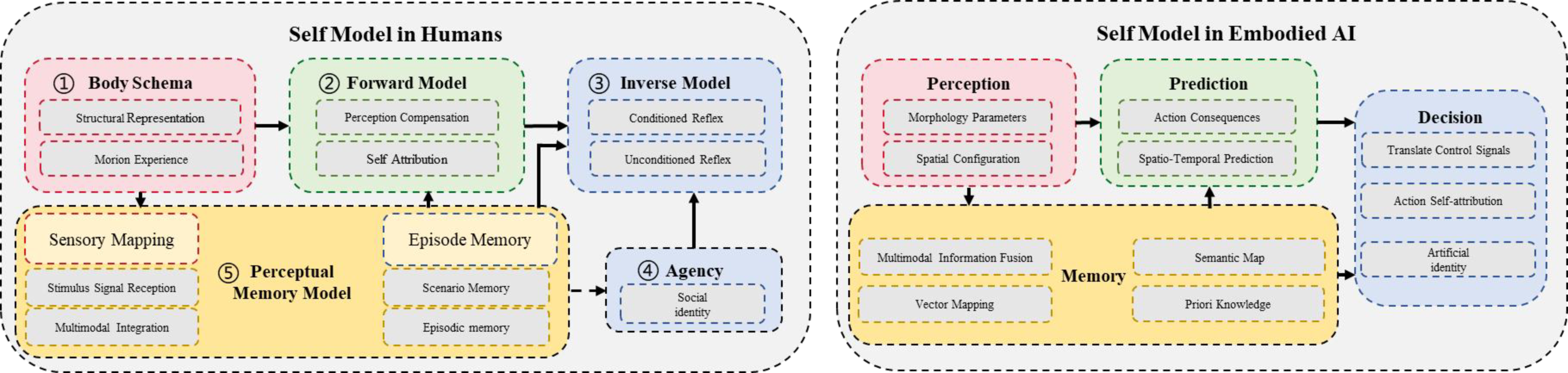 Self Model architecture diagram